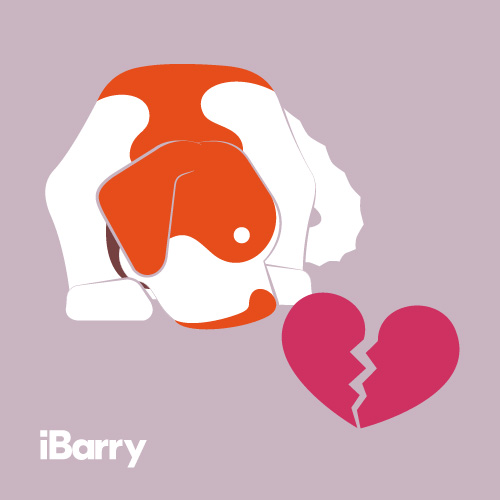 iBarry: Romance Scam.