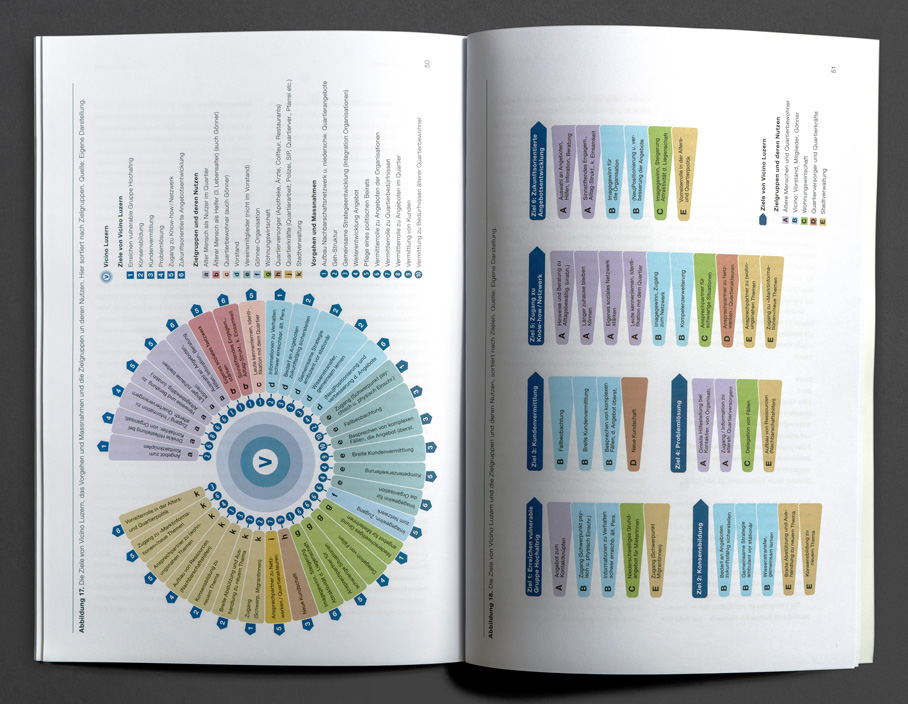 Infografik-Gestaltung für das Projekt Vicino Luzern.